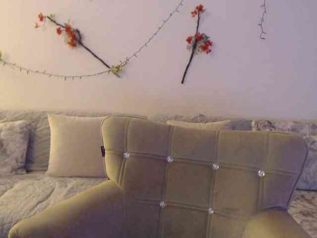 goodSnowQueen webcam