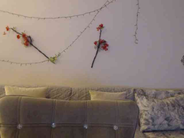goodSnowQueen webcam