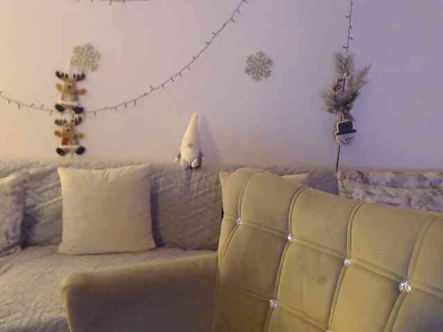 goodSnowQueen webcam