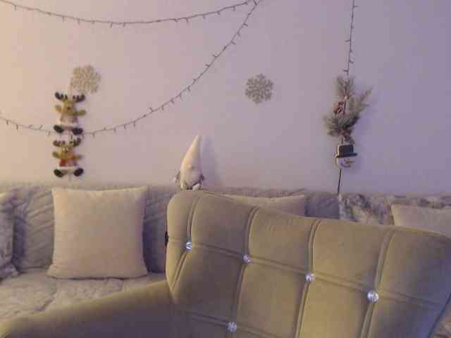 goodSnowQueen webcam