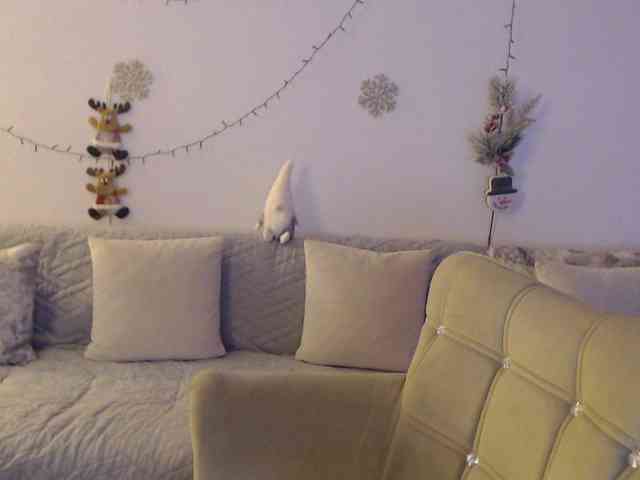 goodSnowQueen webcam