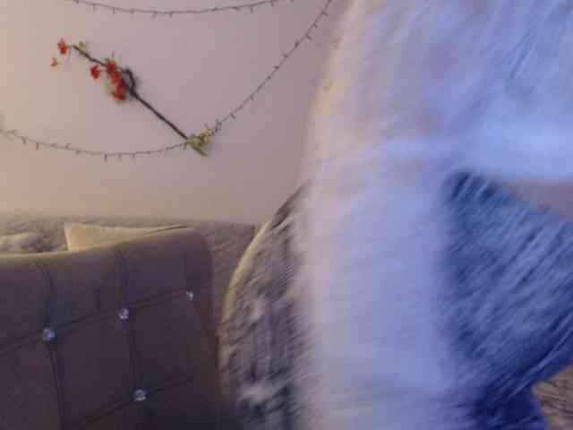 goodSnowQueen webcam