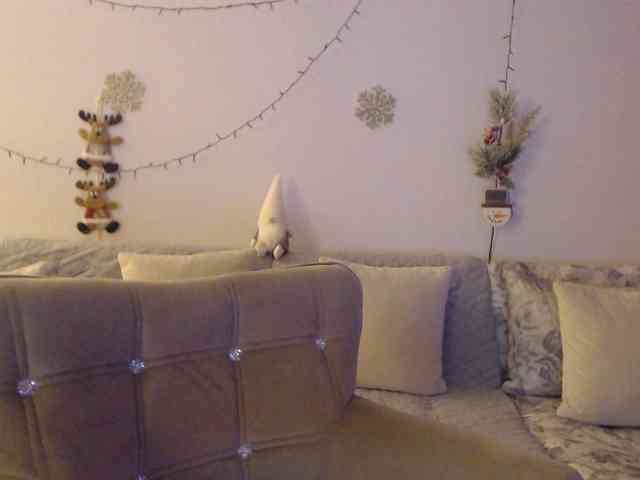 goodSnowQueen webcam