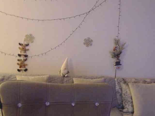 goodSnowQueen webcam
