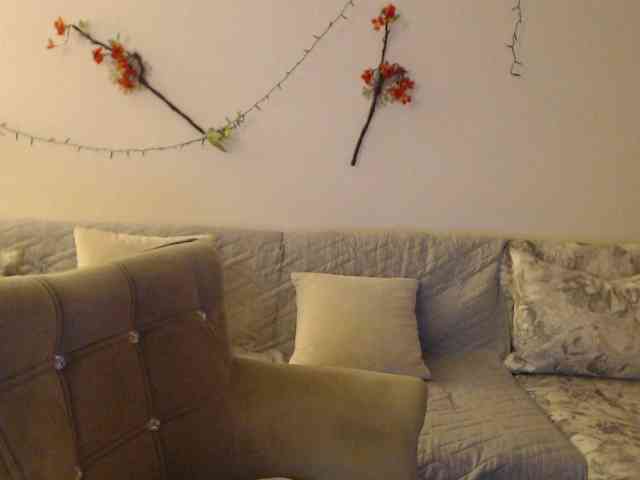 goodSnowQueen webcam