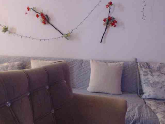 goodSnowQueen webcam