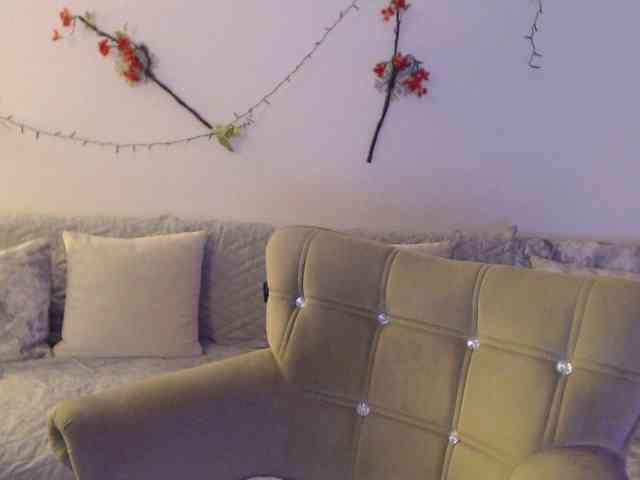 goodSnowQueen webcam