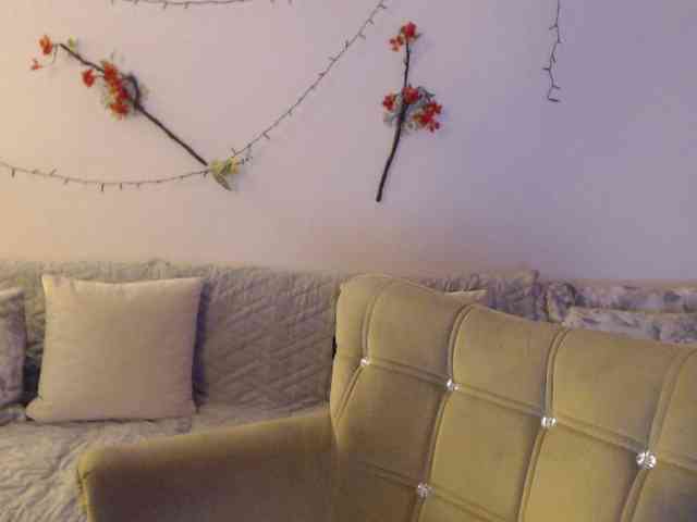 goodSnowQueen webcam