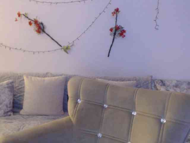 goodSnowQueen webcam