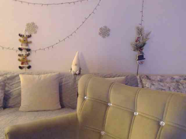 goodSnowQueen webcam