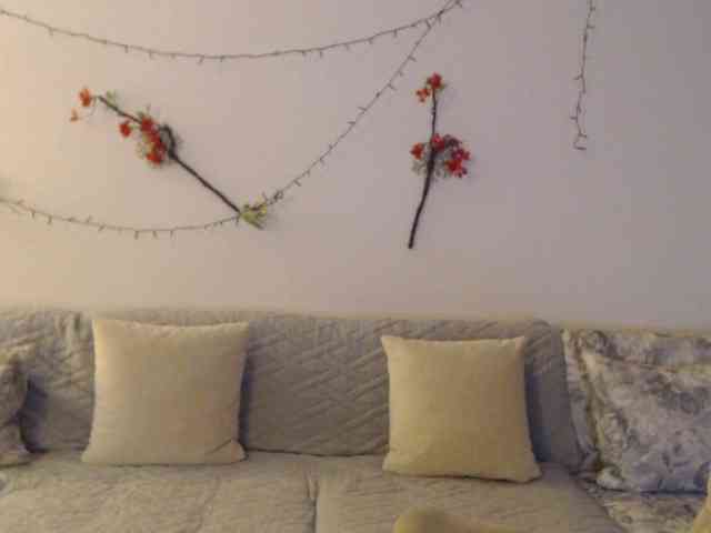 goodSnowQueen webcam