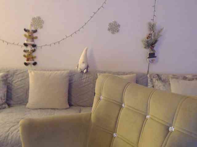 goodSnowQueen webcam