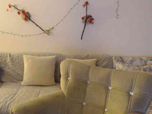 goodSnowQueen webcam