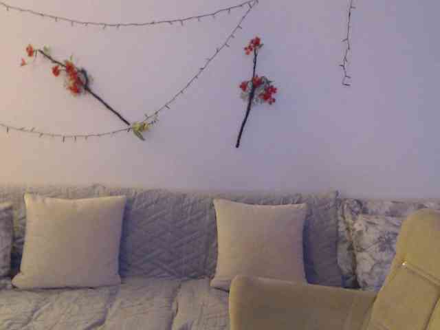 goodSnowQueen webcam