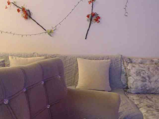 goodSnowQueen webcam