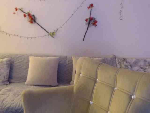 goodSnowQueen webcam