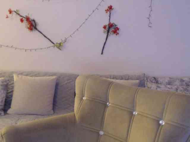 goodSnowQueen webcam