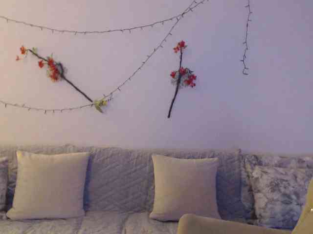 goodSnowQueen webcam