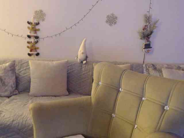 goodSnowQueen webcam