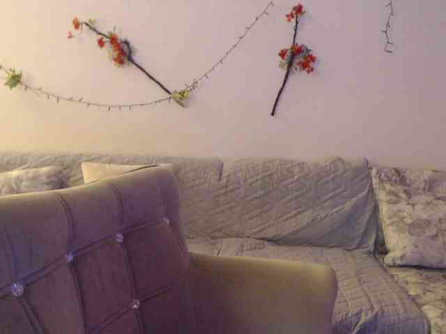 goodSnowQueen webcam