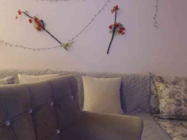 goodSnowQueen webcam