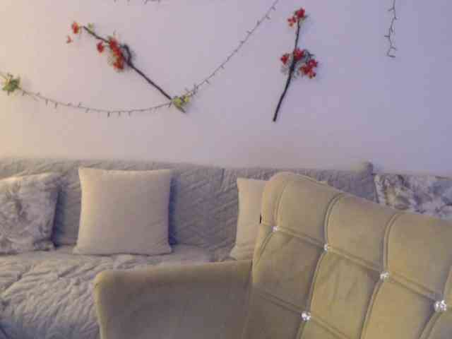goodSnowQueen webcam