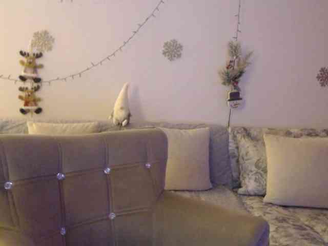 goodSnowQueen webcam