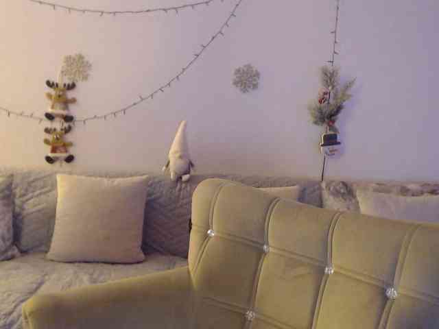 goodSnowQueen webcam