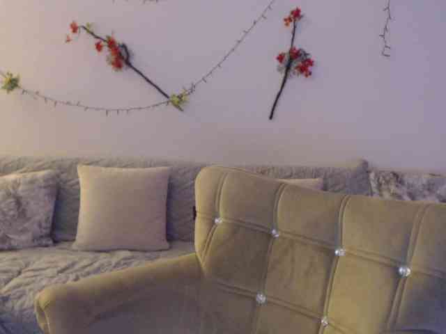 goodSnowQueen webcam