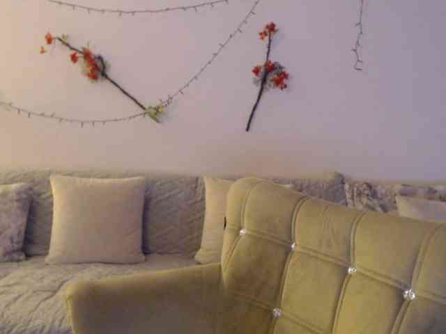 goodSnowQueen webcam