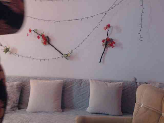 goodSnowQueen webcam