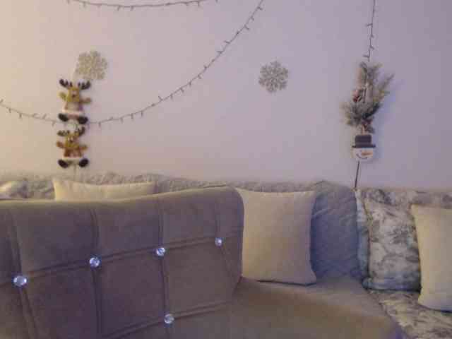 goodSnowQueen webcam