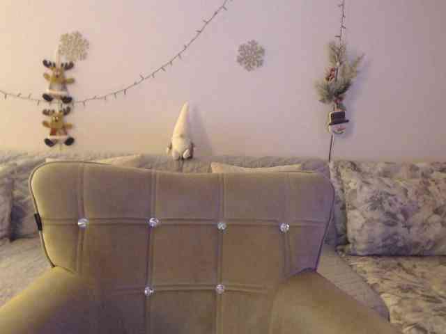 goodSnowQueen webcam