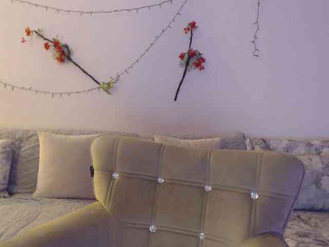 goodSnowQueen webcam