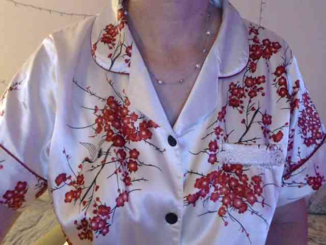 goodSnowQueen webcam