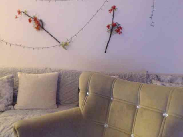 goodSnowQueen webcam