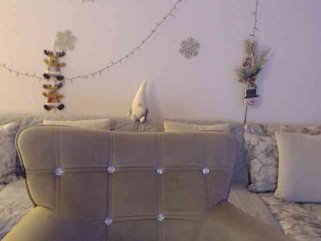 goodSnowQueen webcam