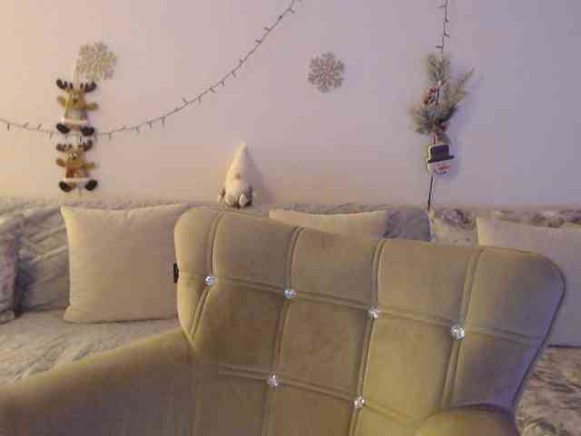 goodSnowQueen webcam