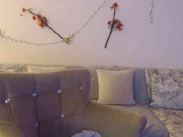 goodSnowQueen webcam