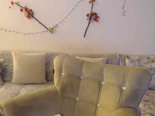 goodSnowQueen webcam
