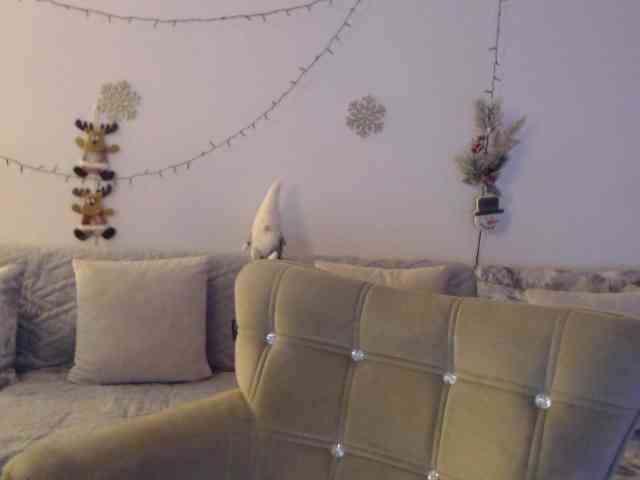 goodSnowQueen webcam