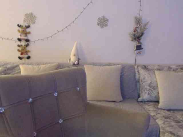 goodSnowQueen webcam