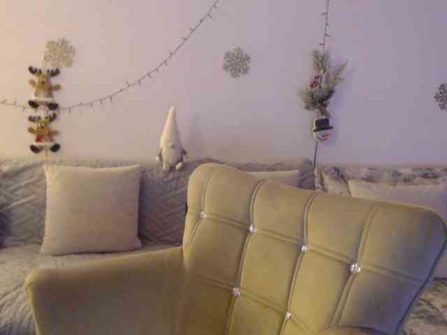 goodSnowQueen webcam