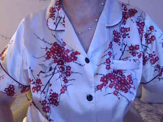 goodSnowQueen webcam