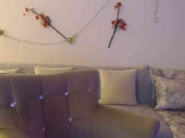 goodSnowQueen webcam