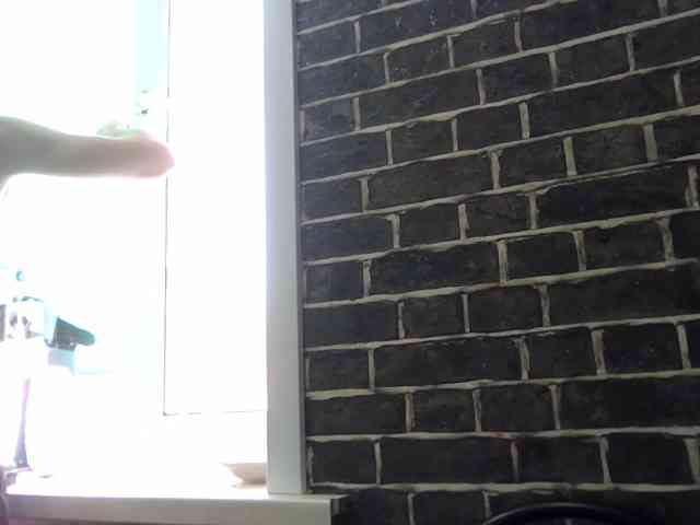 merkus666666 Live Webcam on BongaCams