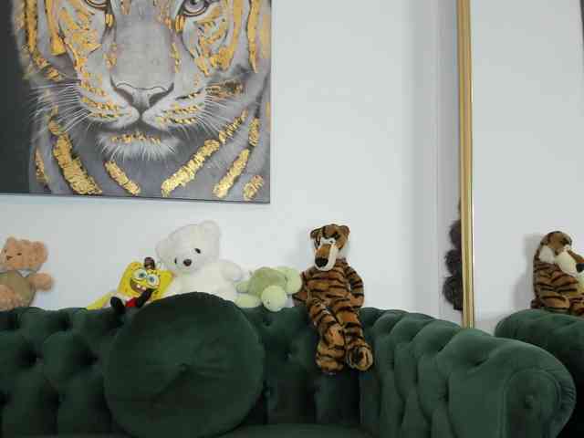 AnnaKarin webcam