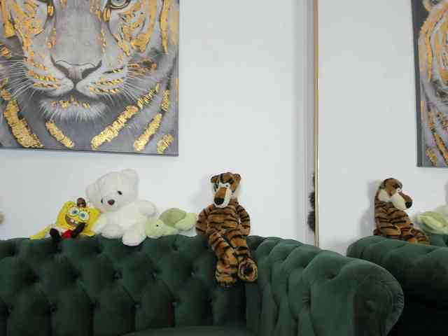 AnnaKarin webcam