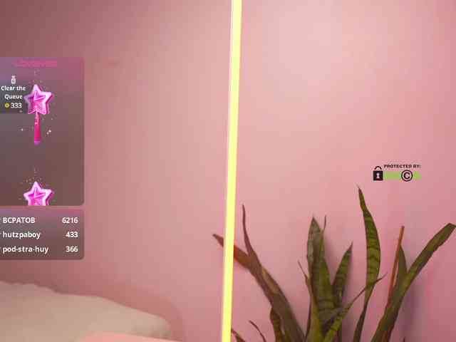 THE_BLACKcat webcam