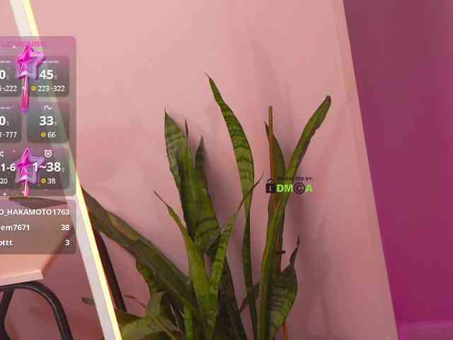 THE_BLACKcat webcam